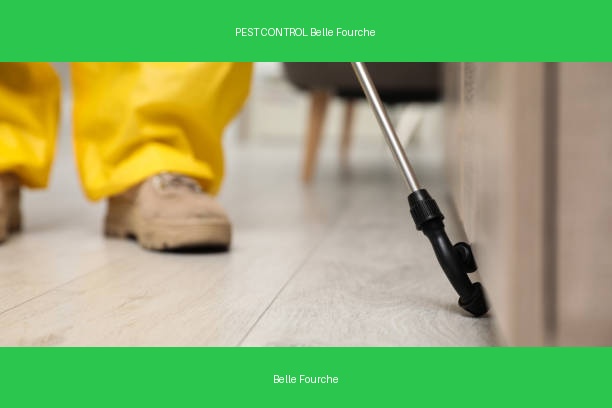 PEST CONTROL Belle Fourche